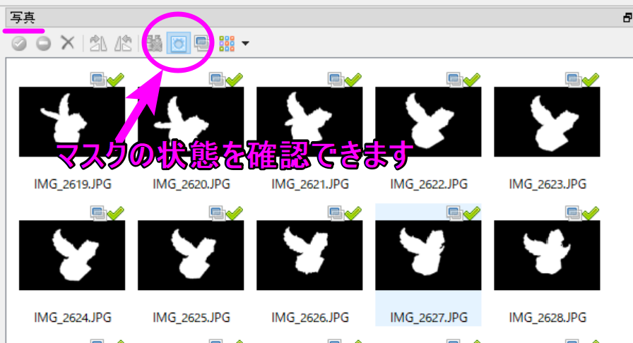 photoscan