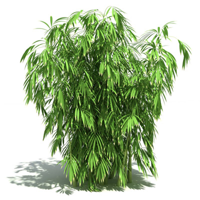 GrowFX-Bamboo