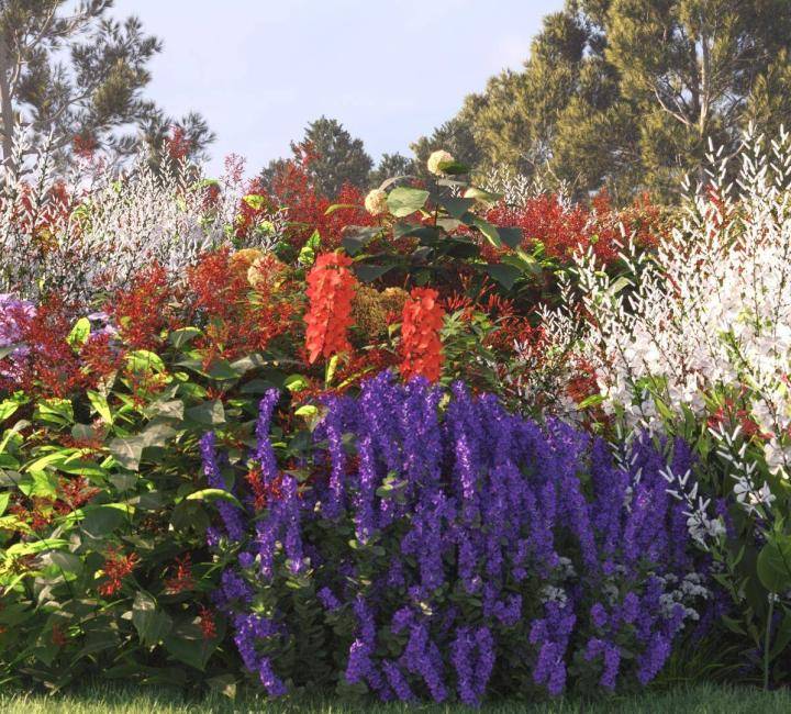 Bushes and Flowers のレンダリング画像 7