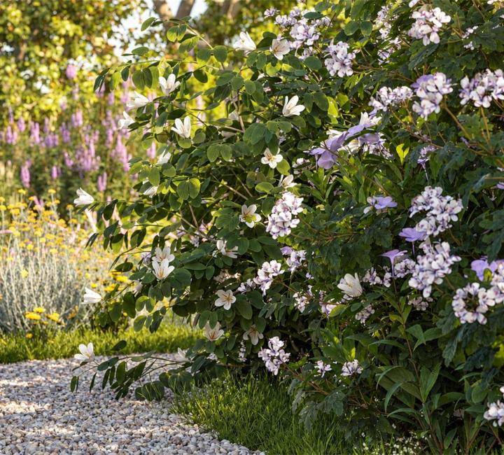 Bushes and Flowers のレンダリング画像 16