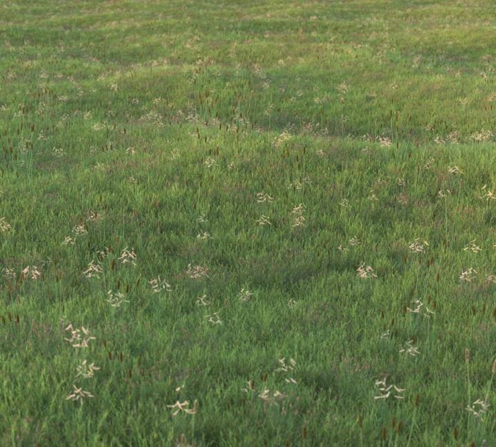 Ground Covers のレンダリング画像 2