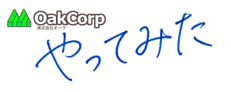 オークのやってみた