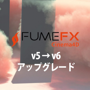 SS-FFXC4DUP56