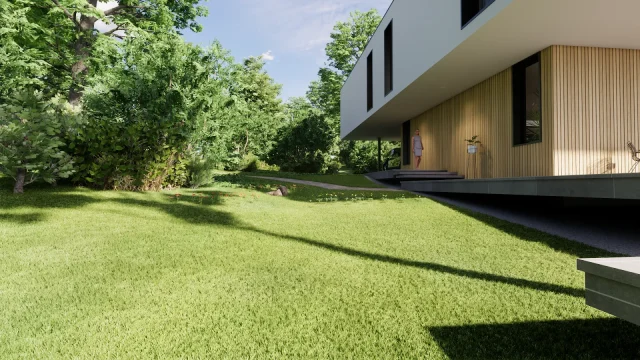 新しいバージョンの短い芝生