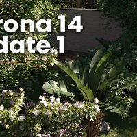 Corona 14 Update 1 がリリース
